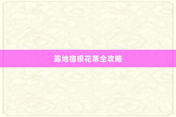露地宿根花草全攻略
